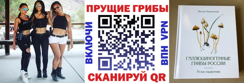 Галлюциногенные грибы Psilocybine cubensis  Полысаево 