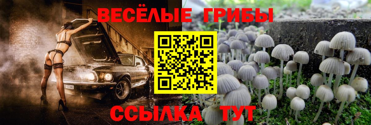 Полысаево  закладки  Вход с VPN  Псилоцибиновые грибы GOLDEN TEACHER 